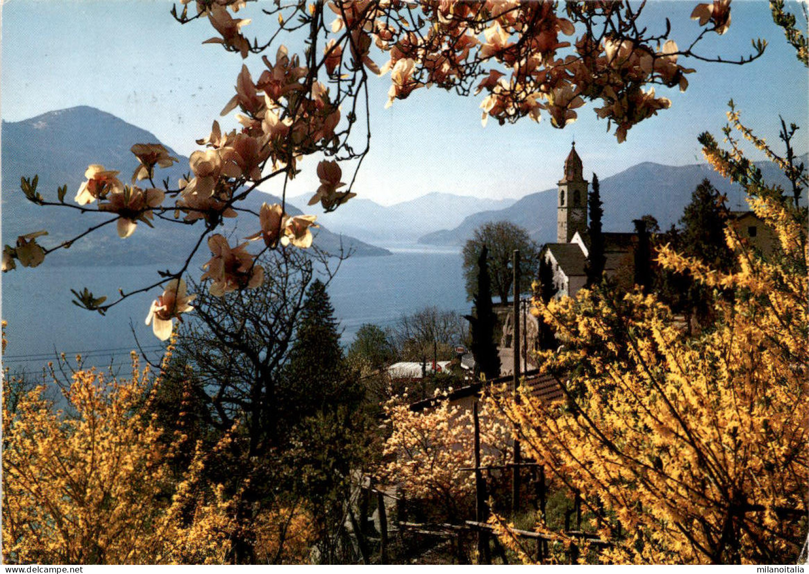 Ronco - SBB-Karte * 6. 8. 1984 - Ronco Sopra Ascona