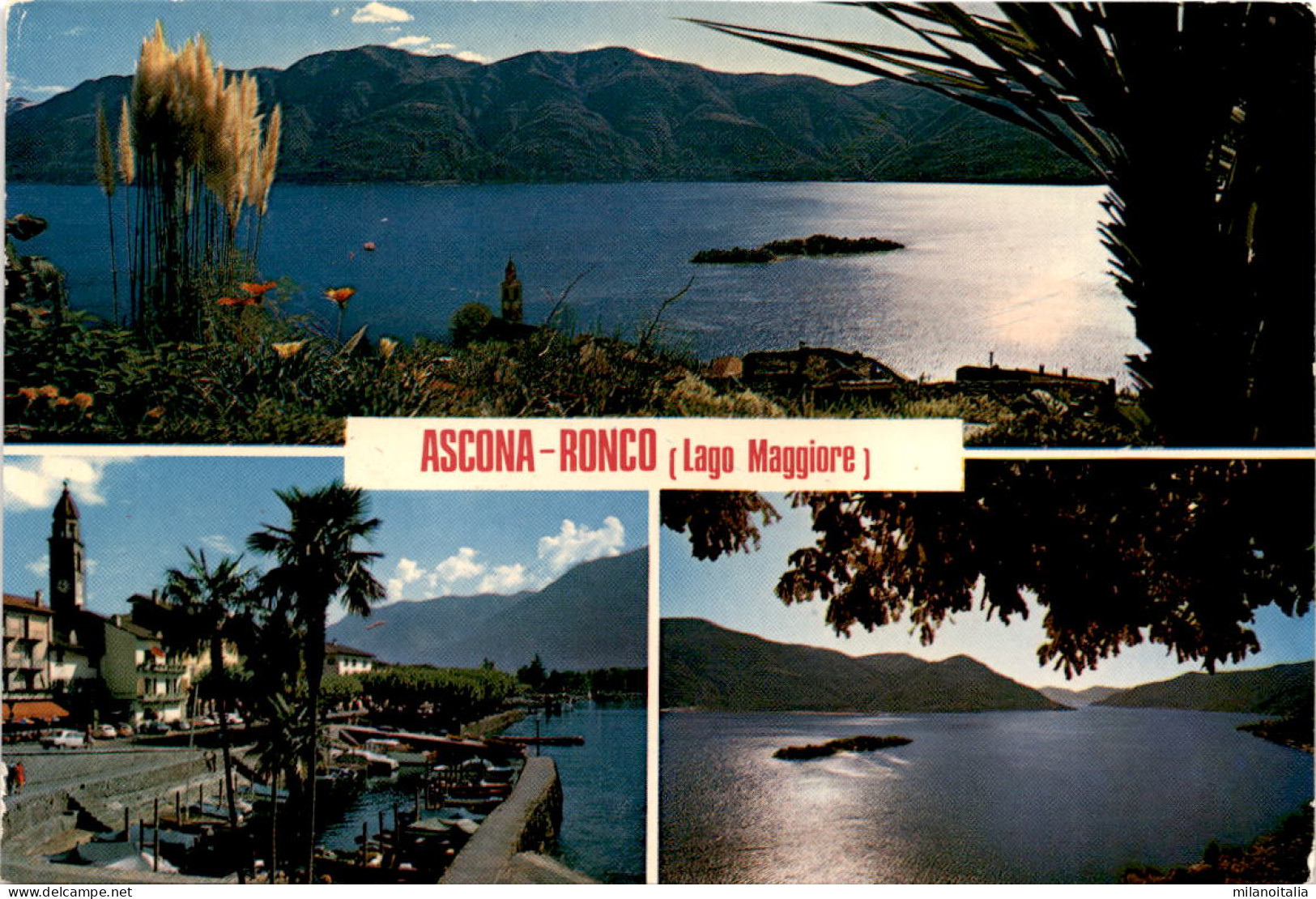 Ascona - Ronco (Lago Maggiore) - 3 Bilder (541) * 24. 4. 1979 - Ronco Sopra Ascona