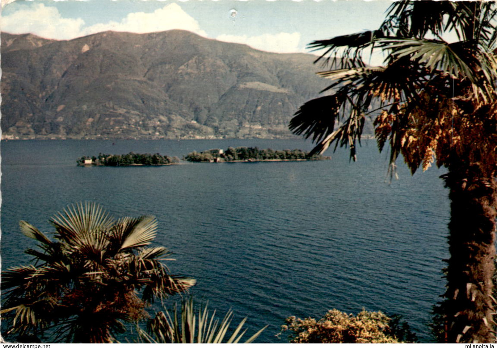 Isole Di Brissago (638) * 14. 8. 1957 - Brissago