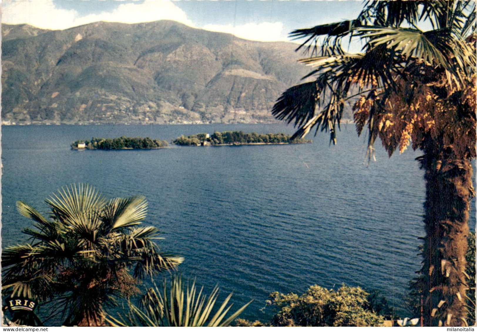 Isole Di Brissago (638) * 25. 10. 1971 - Brissago