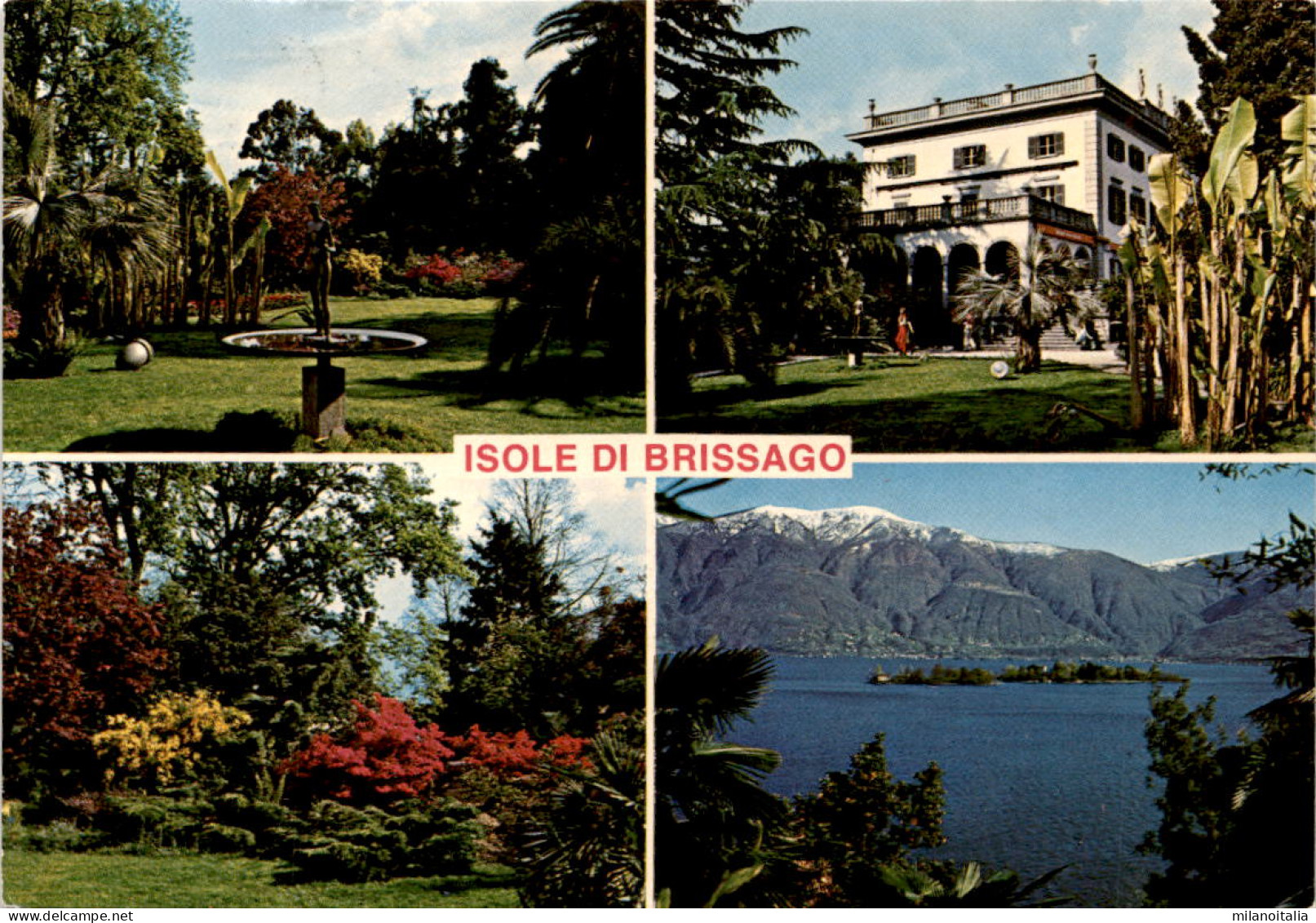 Isole Di Brissago - 4 Bilder (592) * 13. 4. 1982 - Brissago
