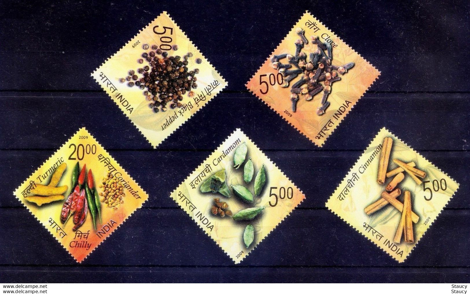 India 2009 Spices Medicinal Plants Gastronomy Cuisine Food Stamp 5v Odd Shape Stamp SET MNH - Altri & Non Classificati