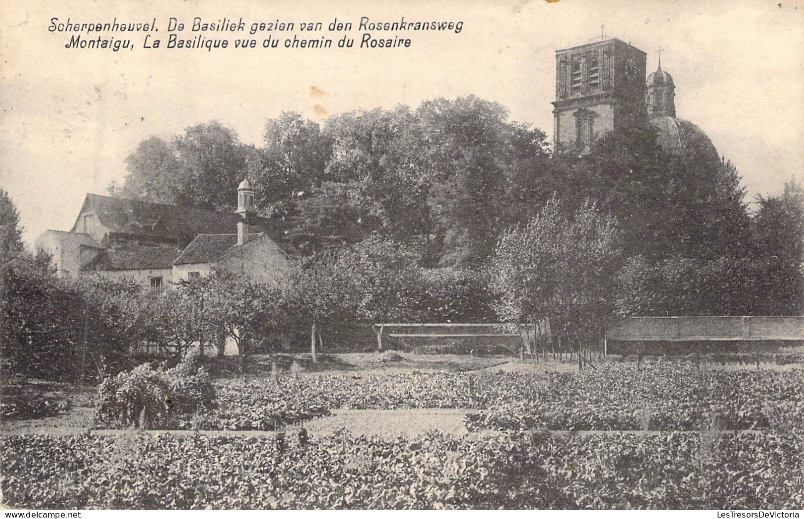 Belgique - MONTAIGU - La Basilique Vue Du Chemin Du Rosaire - Carte Postale Ancienne - Leuven