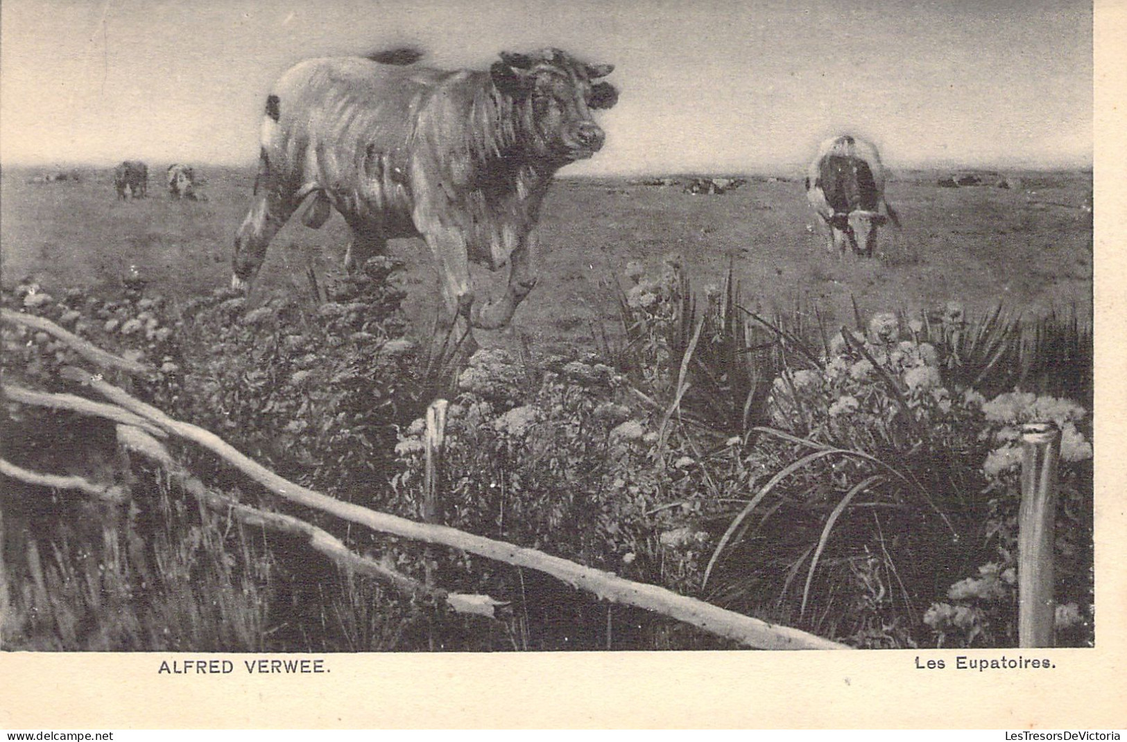 ANIMAUX - Illustration Alfred Verwee - Les Eupatoires - Vaches Dans Un Pré - Carte Postale Ancienne - Koeien