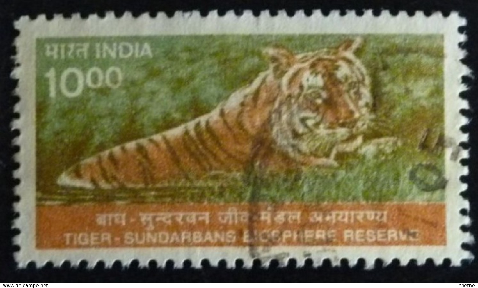 INDE - Tigre (Panthera Tigris) - Réserve De Sundarban - Gebruikt