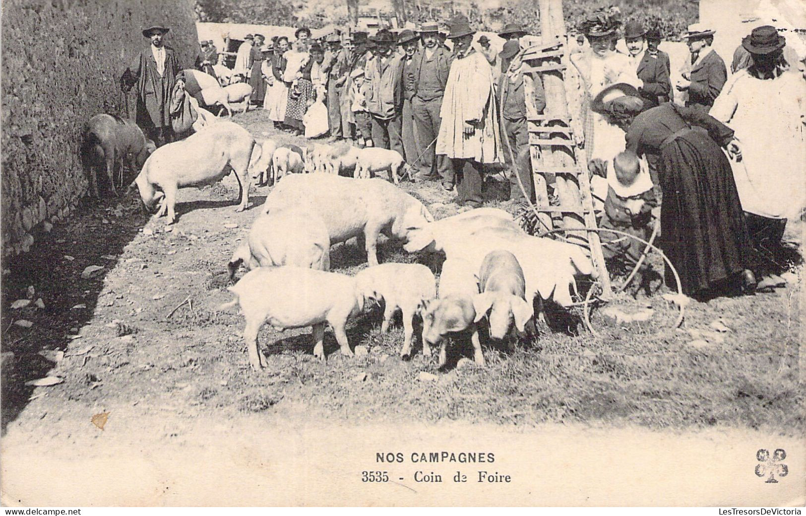 COMMERCE - Marchés - Nos Campagnes - Coin De Foire - Porc - Cochon - Carte Postale Ancienne - Markets