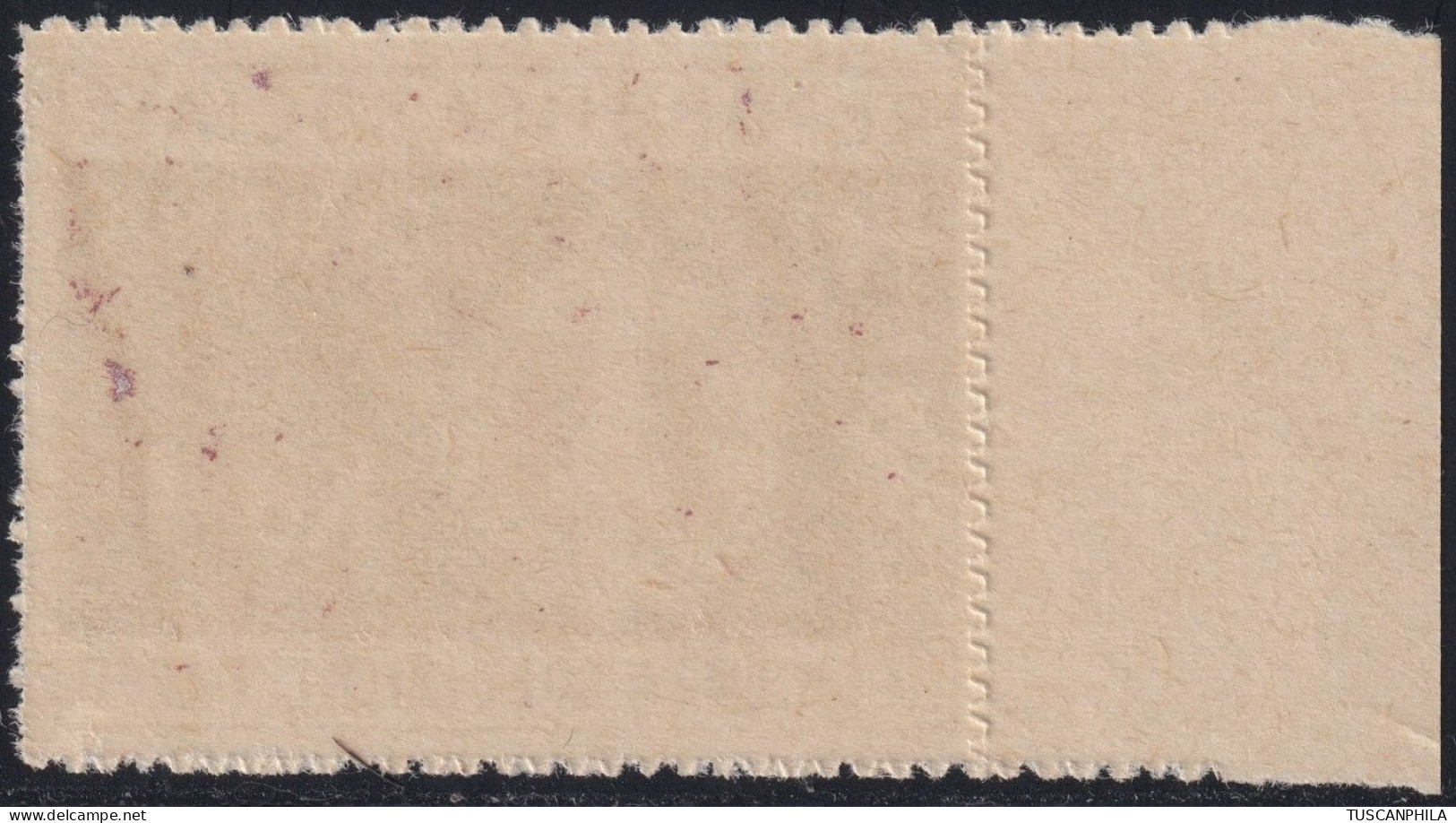 Franchigia Militare Bruno Rosso Sass 1 MNH** Bdf - Exprespost