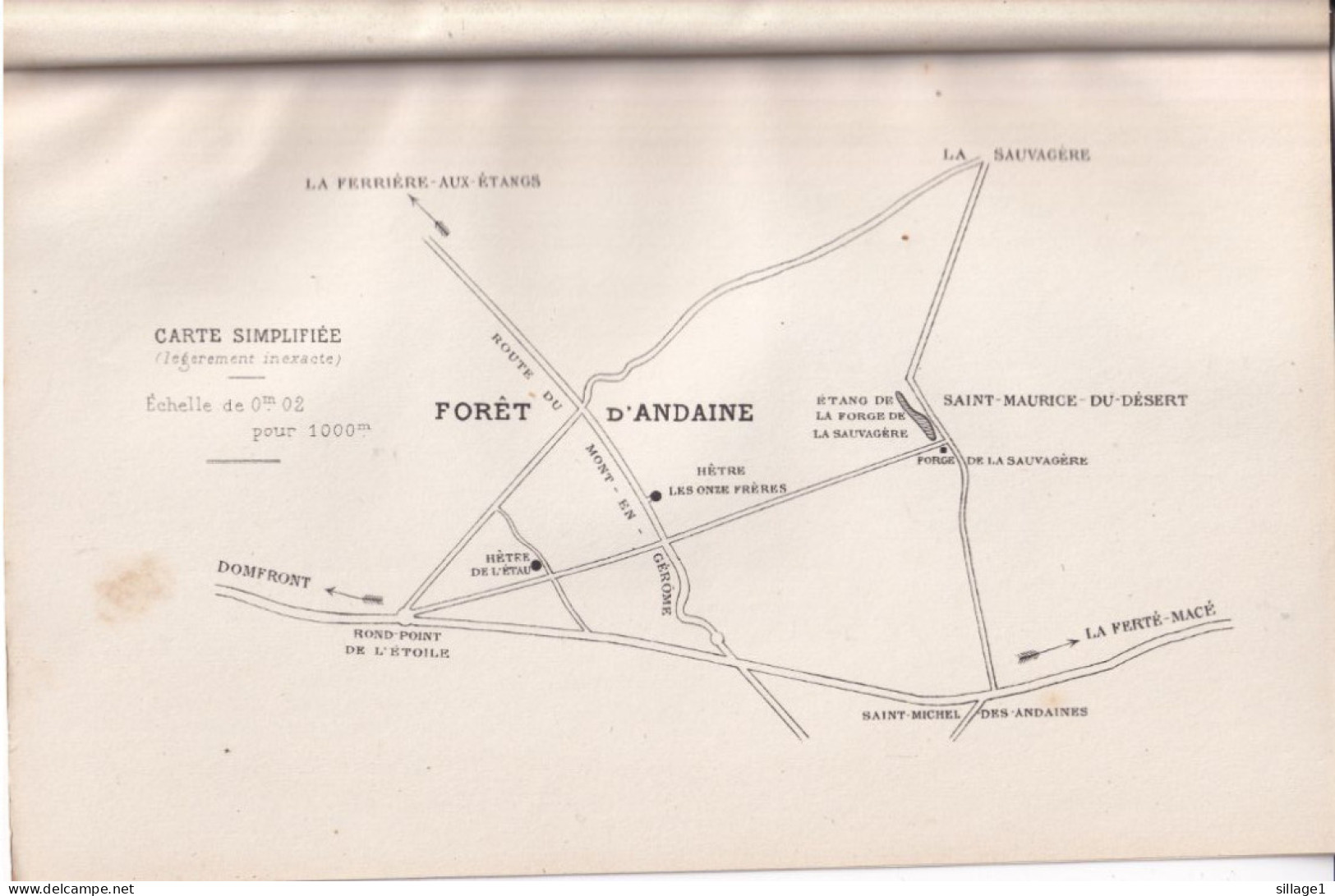 La Sauvagère (Orne 61) Le Hêtre De L'Etau + La Cépée De Hêtre De La Forêt D'Andaine Photographiés 11 Avril 1897 CARTE - Altri Disegni