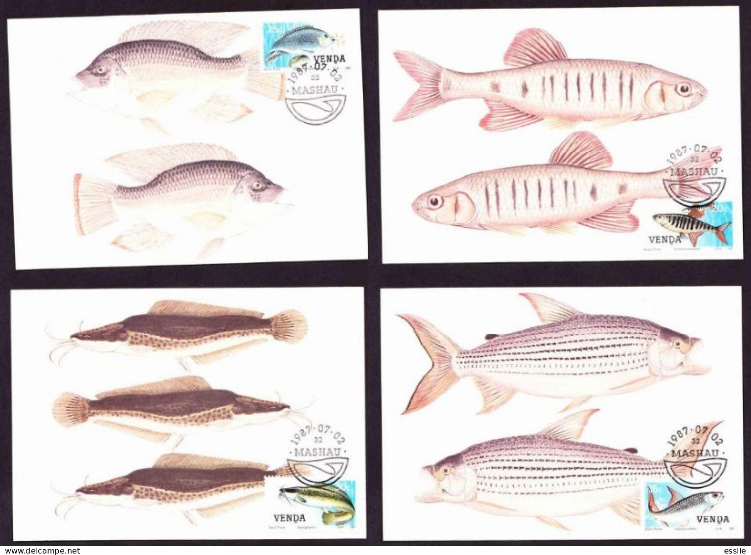 Venda - 1987 - Freshwater Fish - Complete Set On Maximum Cards Maxi Cards PostCards - Venda