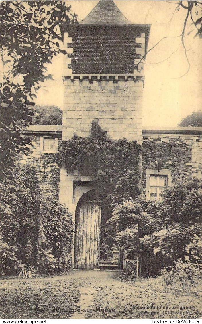 BELGIQUE - JEMEPPE SUR MEUSE - Château Antoine Seigneur XIIIe Siècle - Edition Gérard - Carte Postale Ancienne - Autres & Non Classés