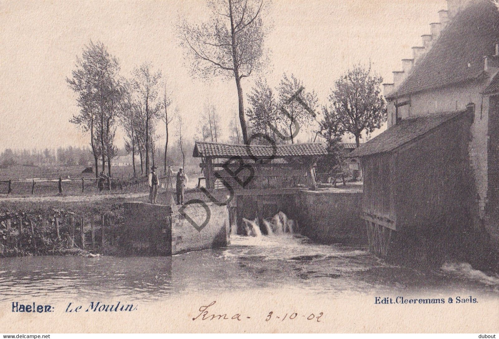 Postkaart/Carte Postale - Halen - Le Moulin (C4104) - Halen