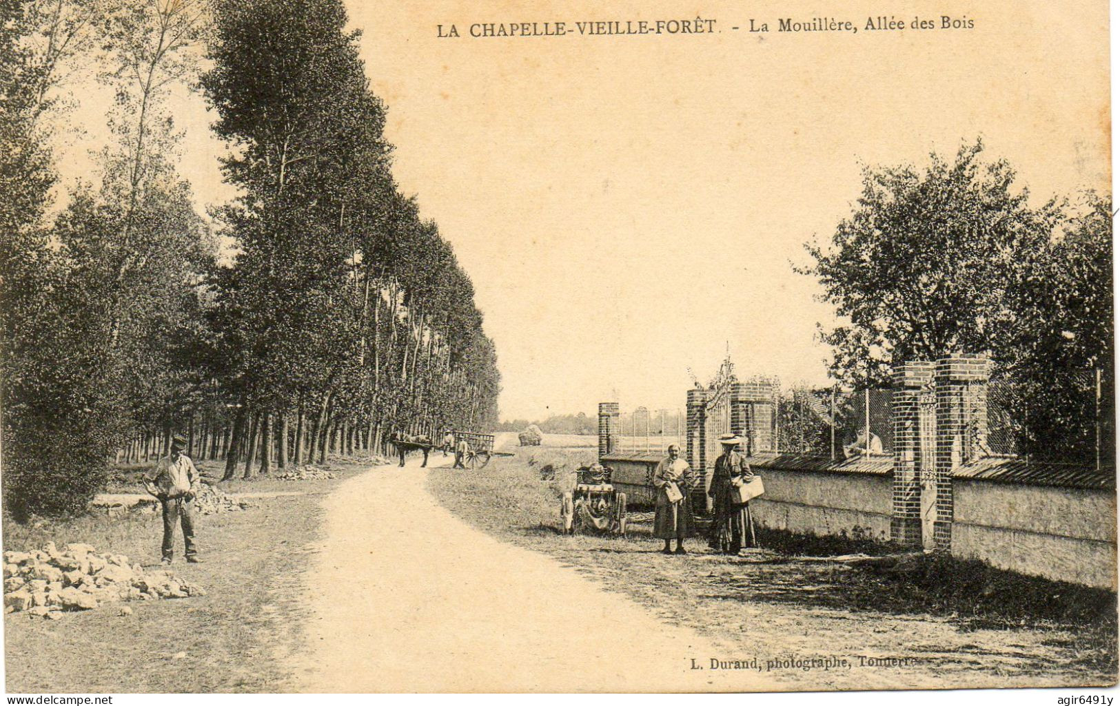 - LA CHAPELLE VIEILLE FORET (89) -  La Mouillère, Allée Des Bois  (animée)  -25371- - Flogny La Chapelle