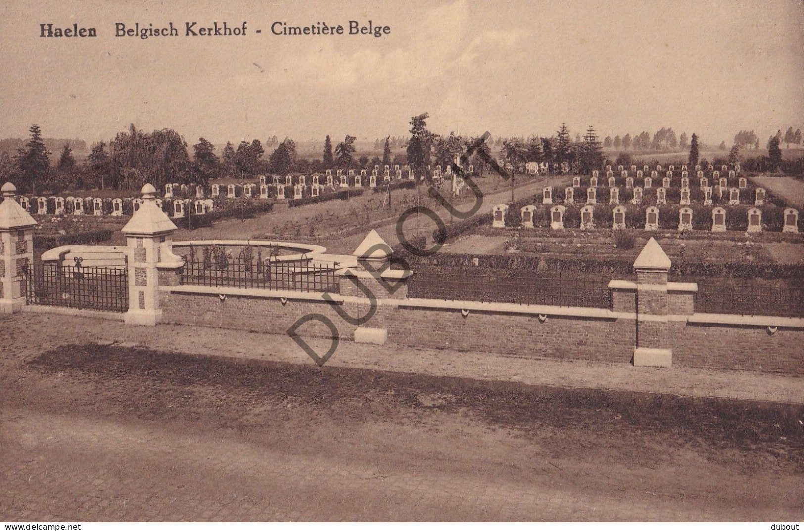 Postkaart/Carte Postale - Halen - Cimetière Belge (C4116) - Halen