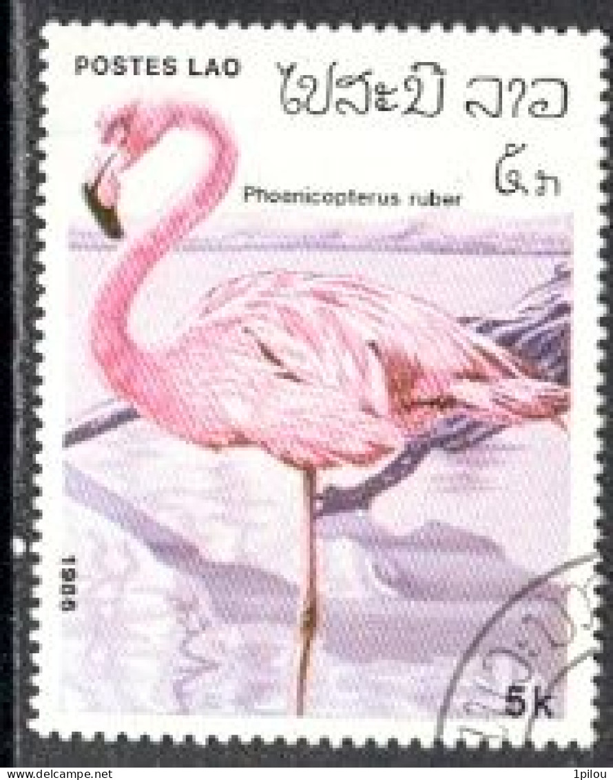 N°  690 - Flamants