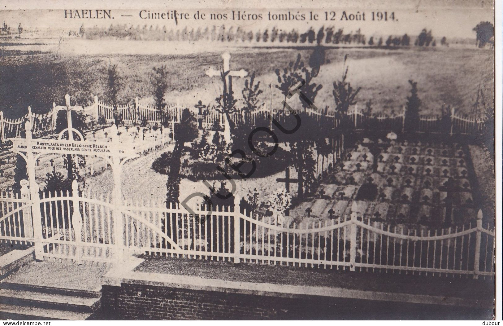 Fotokaart/Carte Photo  - Halen - Cimetière De Nos Héros  (C4114) - Halen