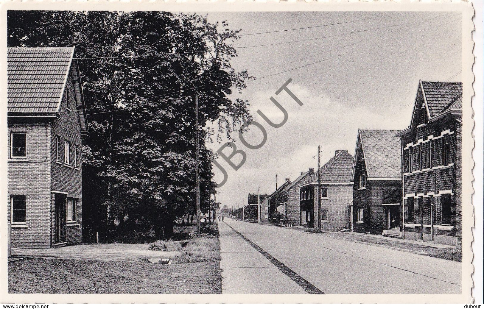 Postkaart/Carte Postale - Beverlo - Steenweg Op Oostham (C4002) - Beringen
