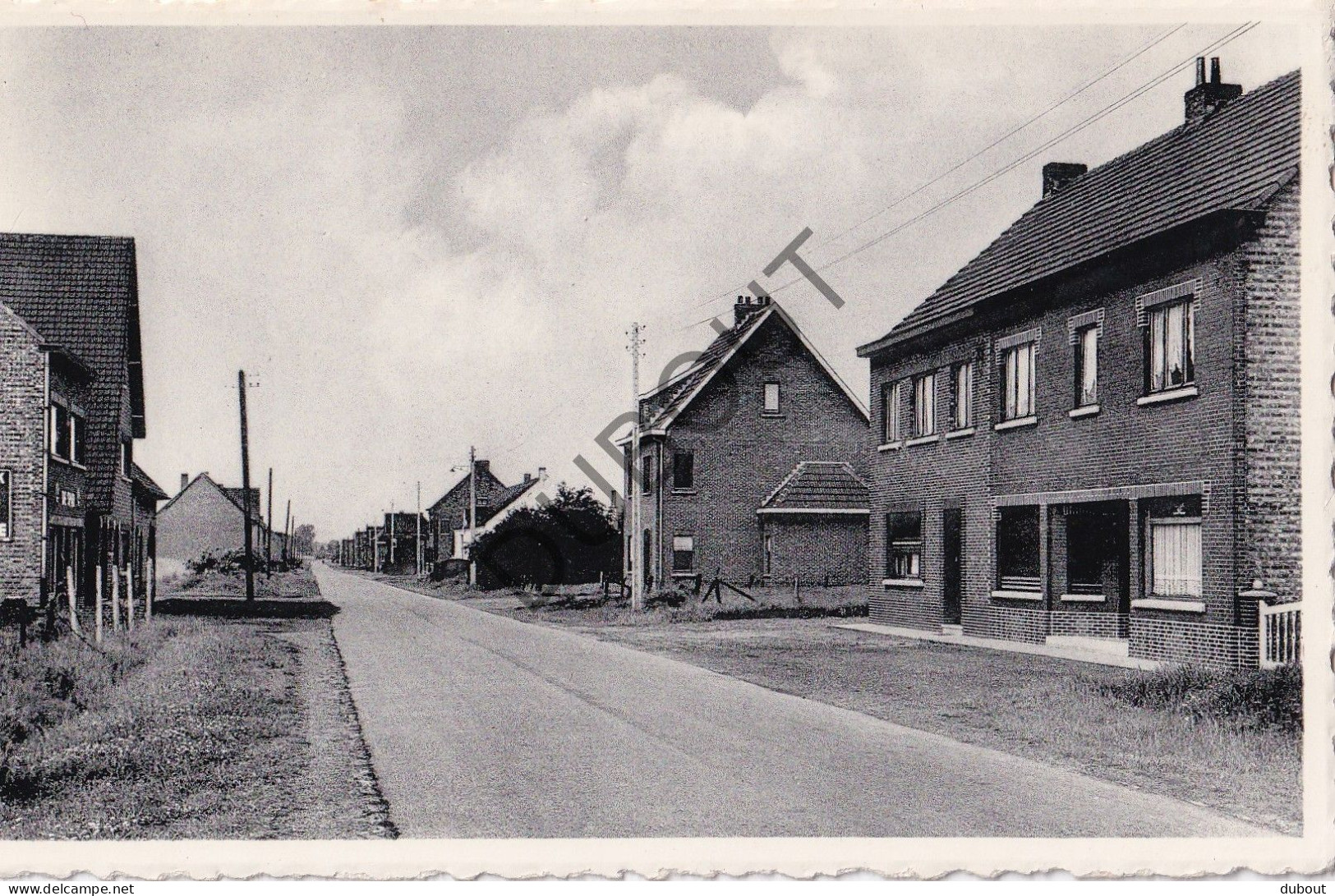 Postkaart/Carte Postale - Beverlo - Zuidstraat (C3982) - Beringen