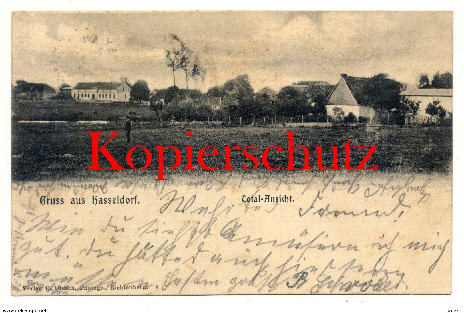 Hasseldorf 1914, Total-Ansicht, LKr. Demmin, Stempel: HOHENBOLLENTIN - Demmin
