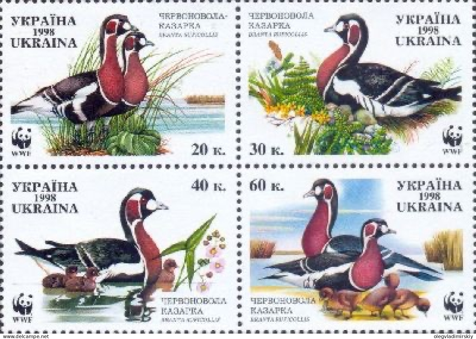 Ukraine 1998 WWF Red-breasted Goose Set Of 4 Stamps In Block Mint - Oies