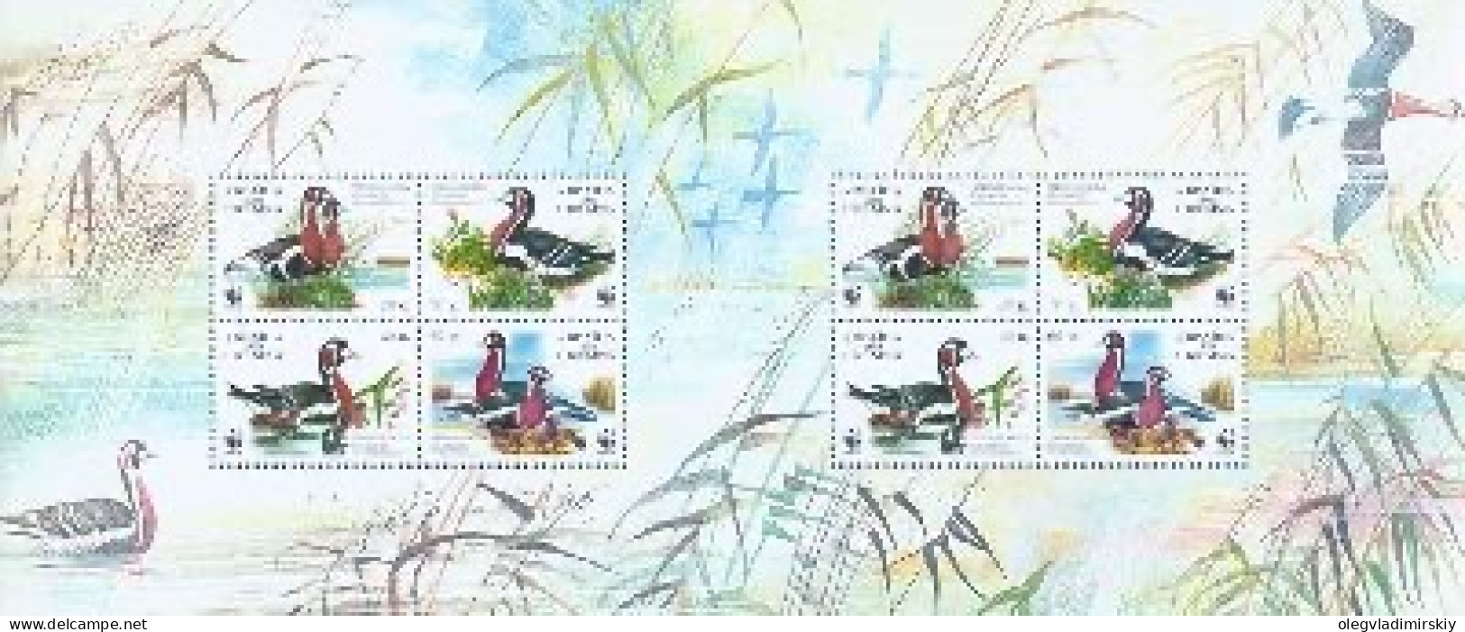 Ukraine 1998 WWF Red-breasted Goose Special Sheetlet With 2 Sets Mint - Oies