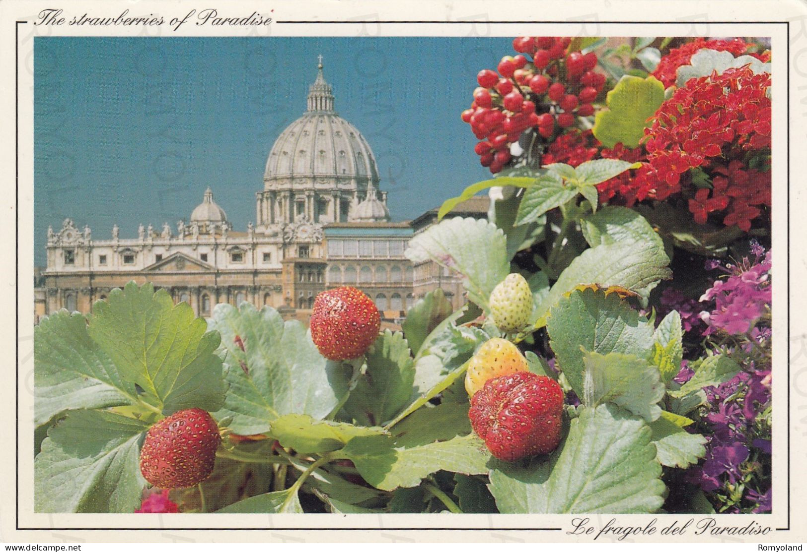 CARTOLINA  ROMA,LAZIO-"LA TERRAZZA PARADISE"-CAFFEE GARDEN-HOTEL ATLANTE STAR-STORIA,MEMORIA,BELLA ITALIA,NON VIAGGIATA - Cafes, Hotels & Restaurants