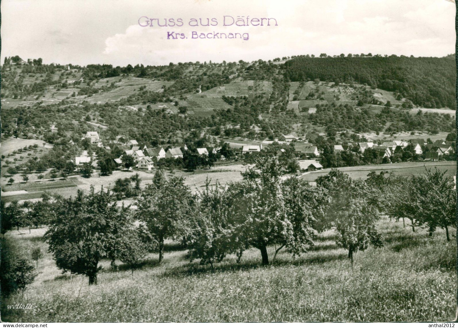 Rar Wohnhäuser In Däfern Kreis Backnang Gasthaus Zum Waldhorn 2.3.1962 Erwin Hitzler - Waiblingen