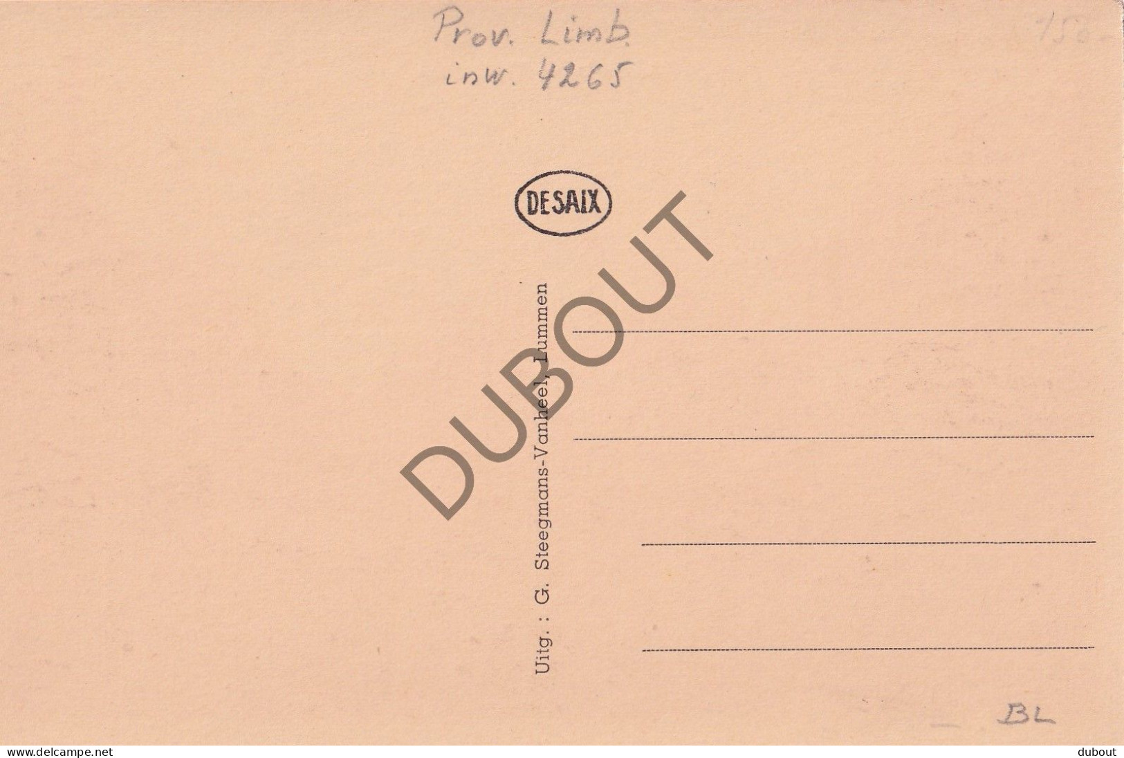 Postkaart/Carte Postale - Lummen - Dorp (C3961) - Lummen