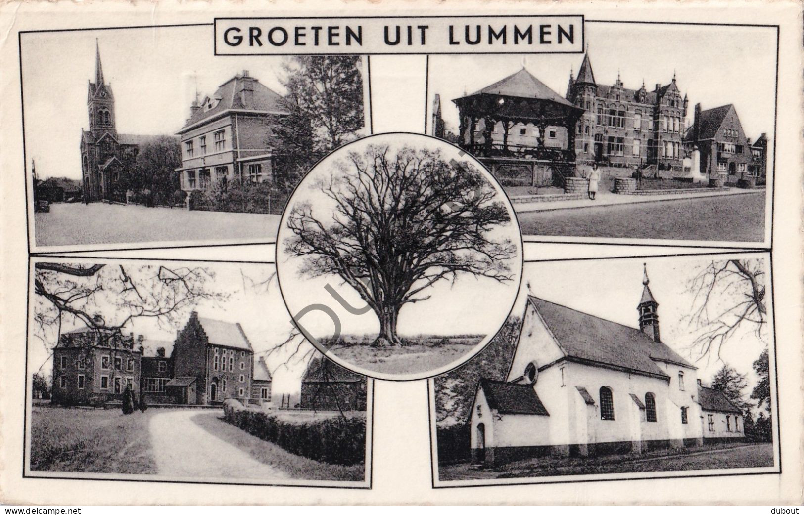 Postkaart/Carte Postale - Lummen - Groeten (C3883) - Lummen