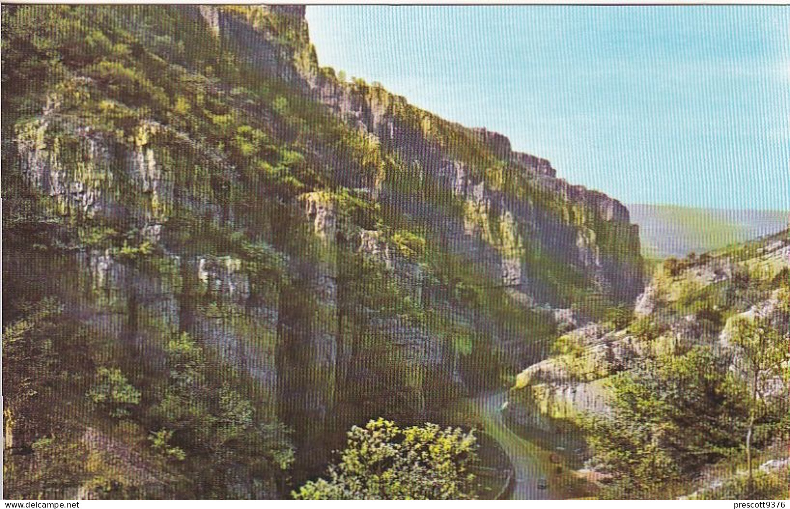 Cheddar Gorge,  Somerset  - Unused Postcard, UK, - Wells