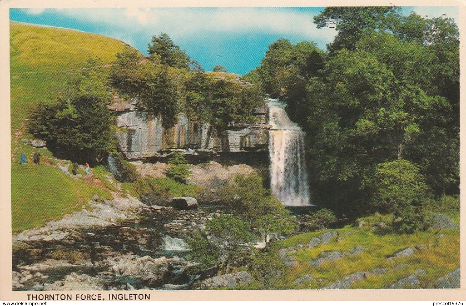 Thornton Force, Ingleton  Yorkshire - Unused Postcard,  UK, - Leeds