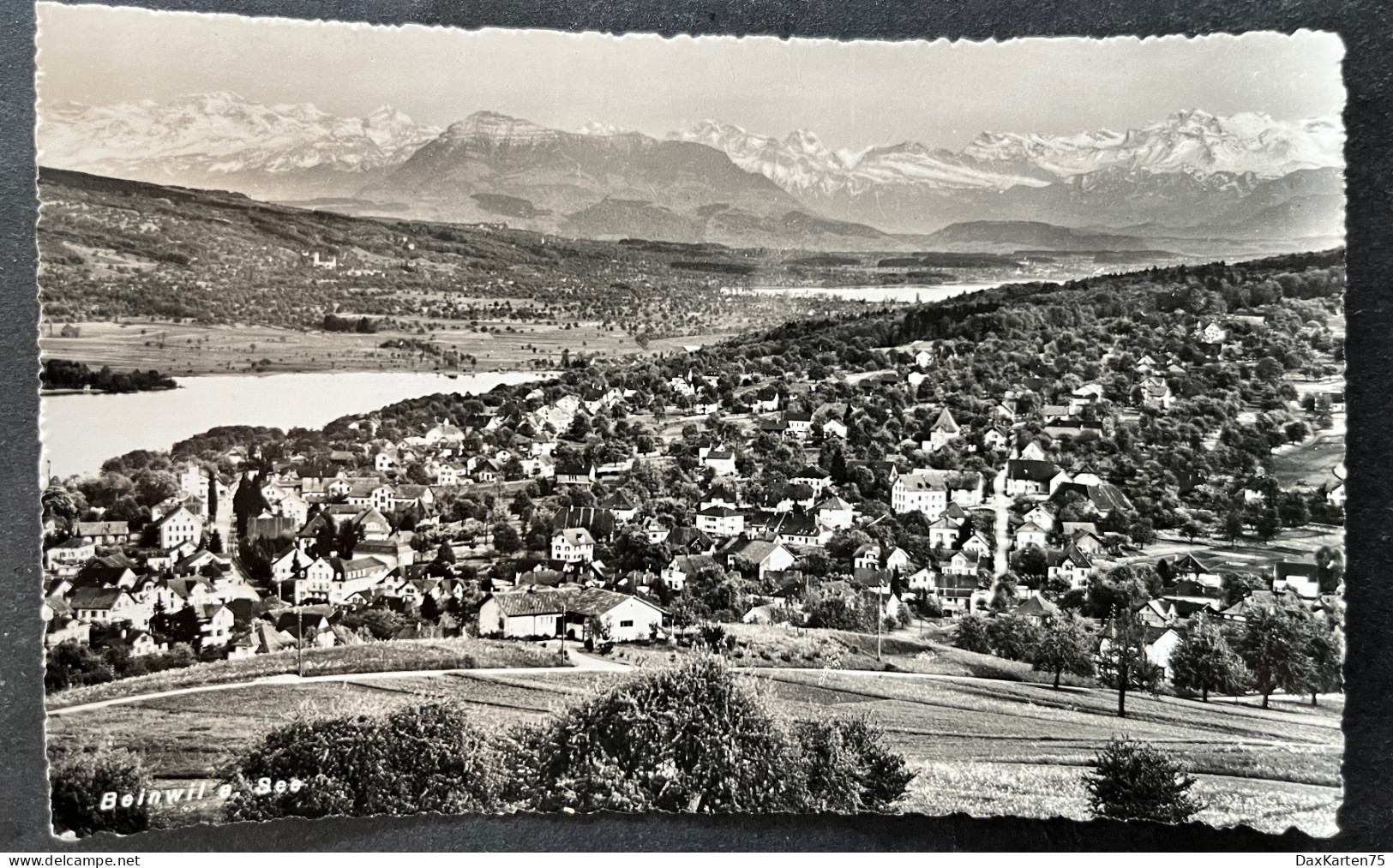 Beinwil Am See/ Ortsansicht - Beinwil Am See