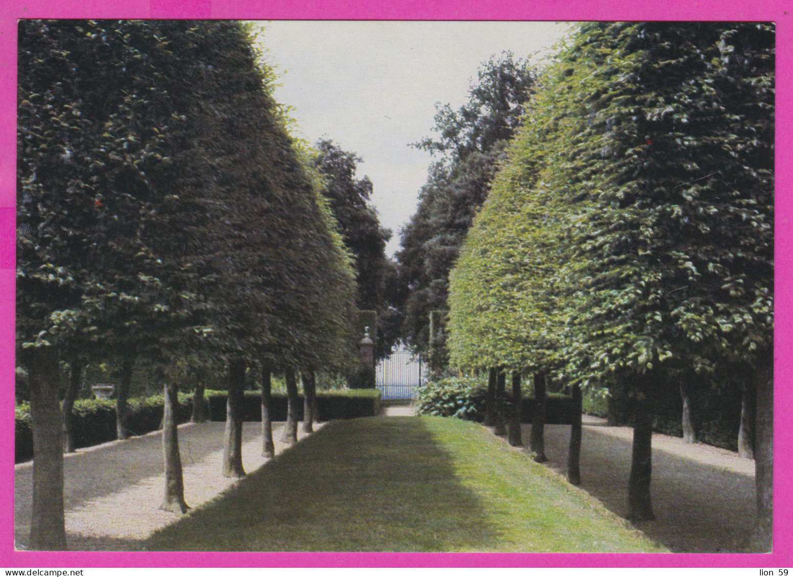 291177 / United Kingdom England Gloucester - Hidcote Manor Garden The Stilt Garden, Chipping Campden, Gloucestershire PC - Gloucester