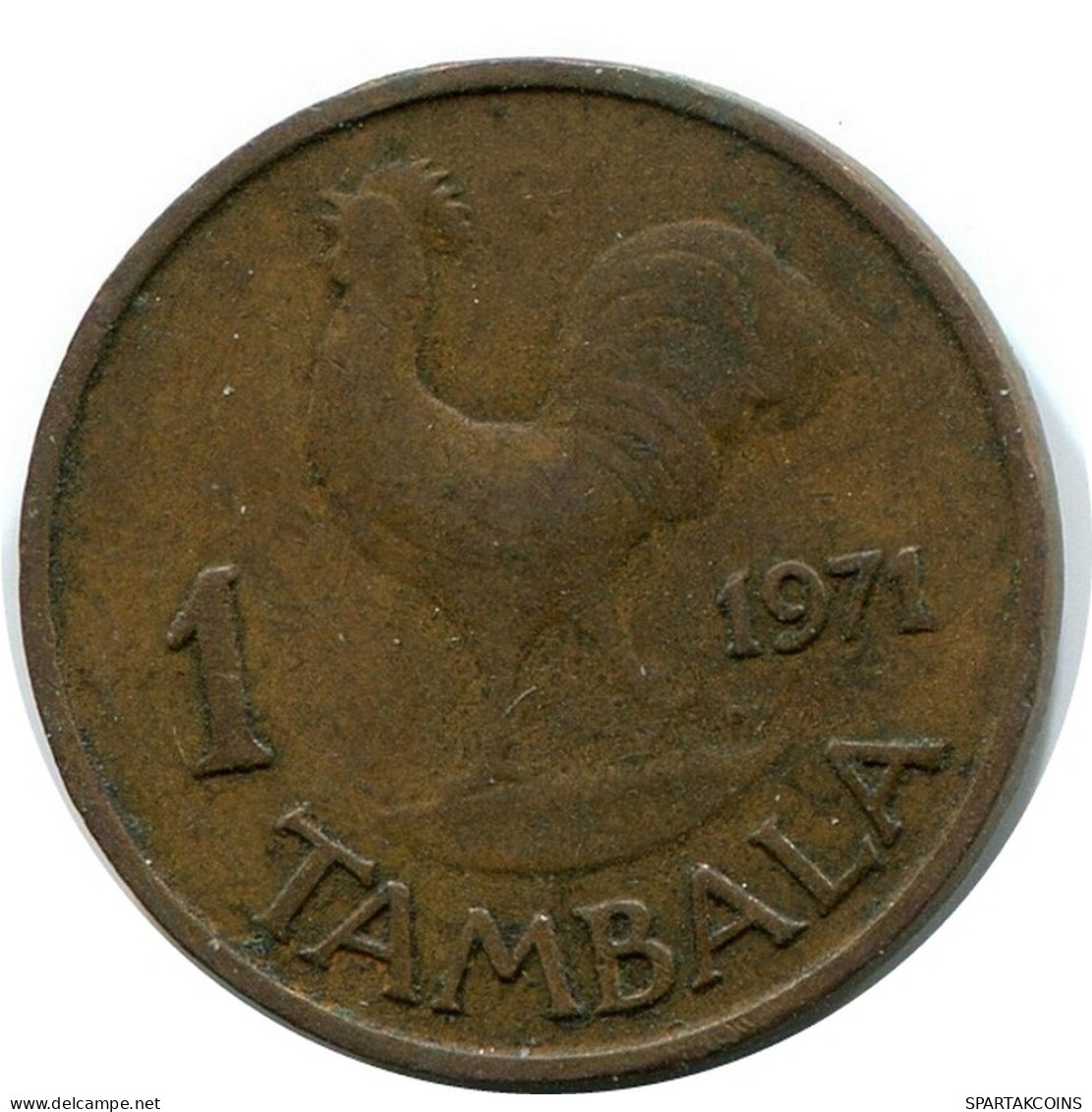 1 TAMBALA 1971 MALAWI Coin #BA196.U - Malawi