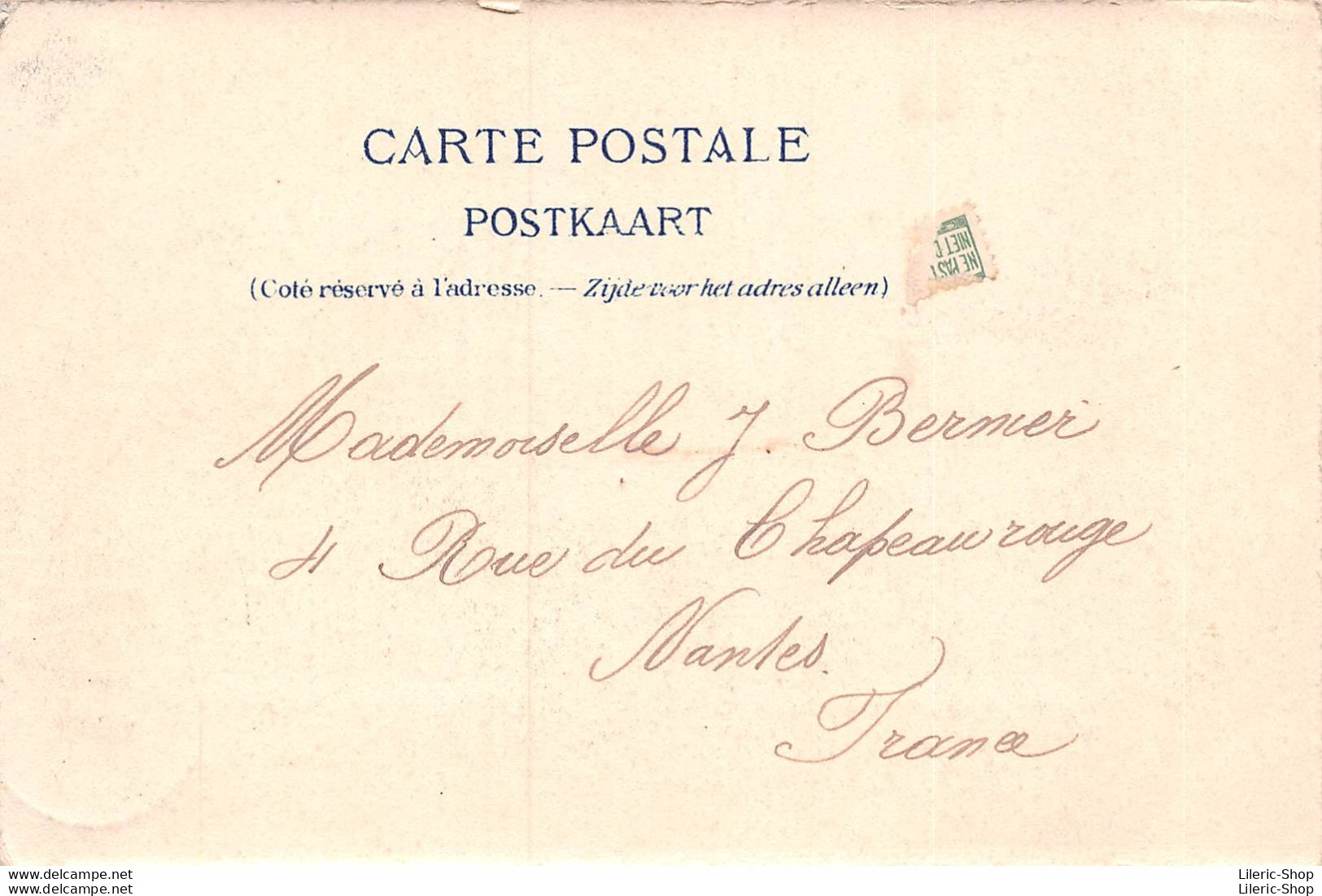 BRUSSEL BRUXELLES CPA  1902 - PALAIS DE LA NATION Siège Du Sénat Et De La Chambre Des Représentants  - Monumenti, Edifici