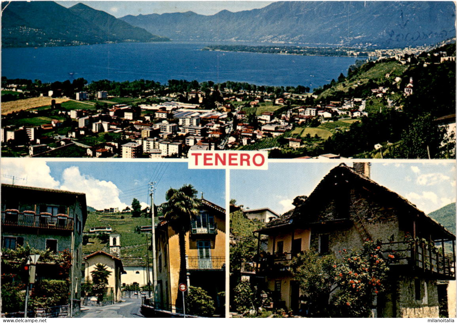 Tenero - 3 Bilder (799) * 15. 5. 1981 - Tenero-Contra