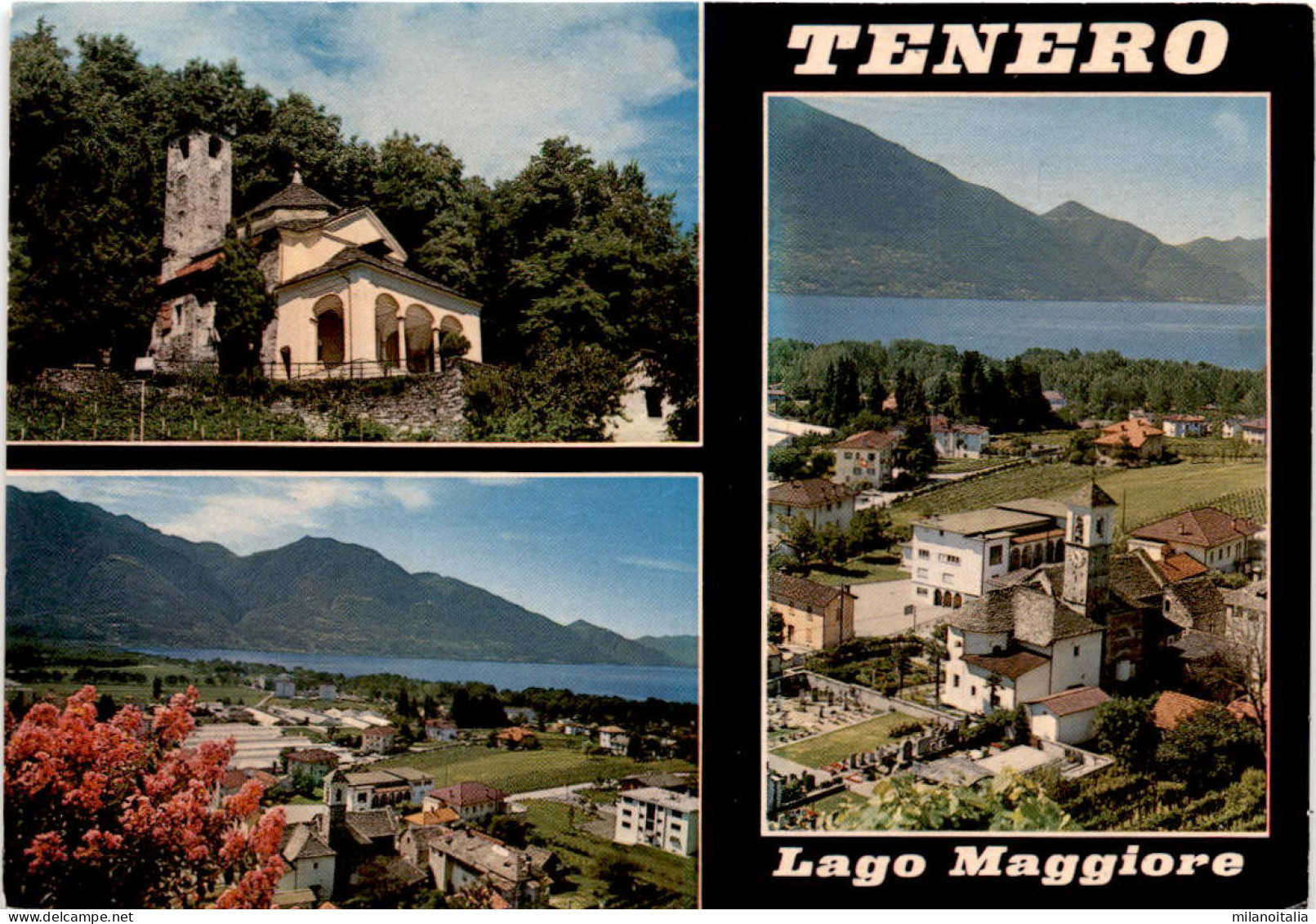 Tenero - Lago Maggiore - 3 Bilder (780) * 13. 7. 1981 - Tenero-Contra