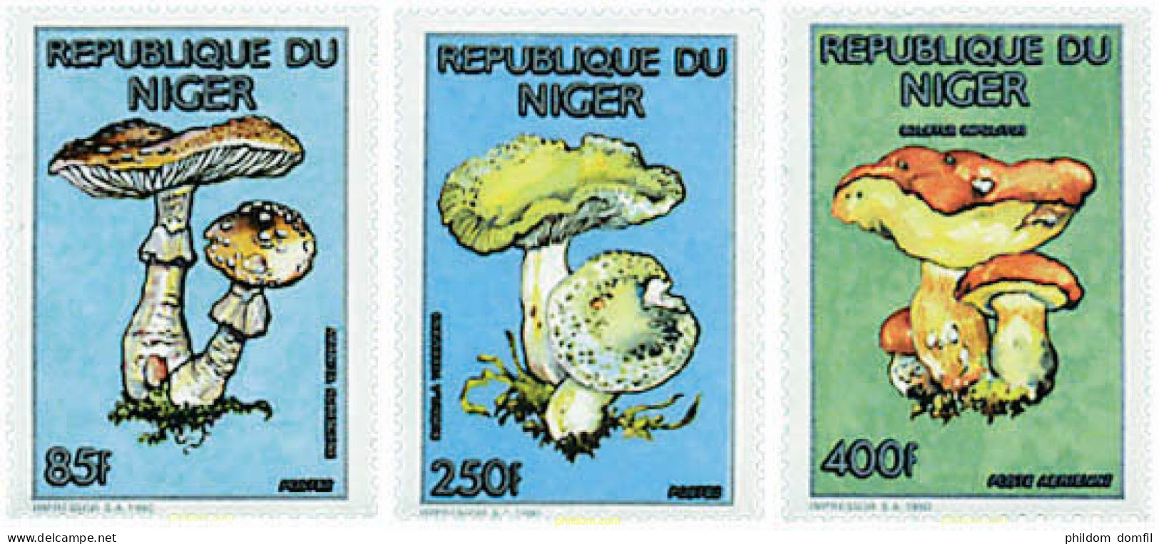 230569 MNH NIGER 1991 MARIPOSAS Y SETAS - Spiders