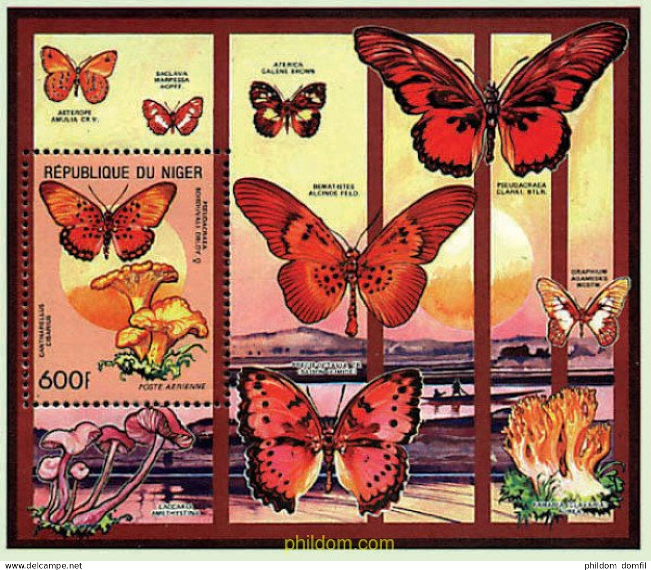 76558 MNH NIGER 1991 MARIPOSAS Y SETAS - Araignées