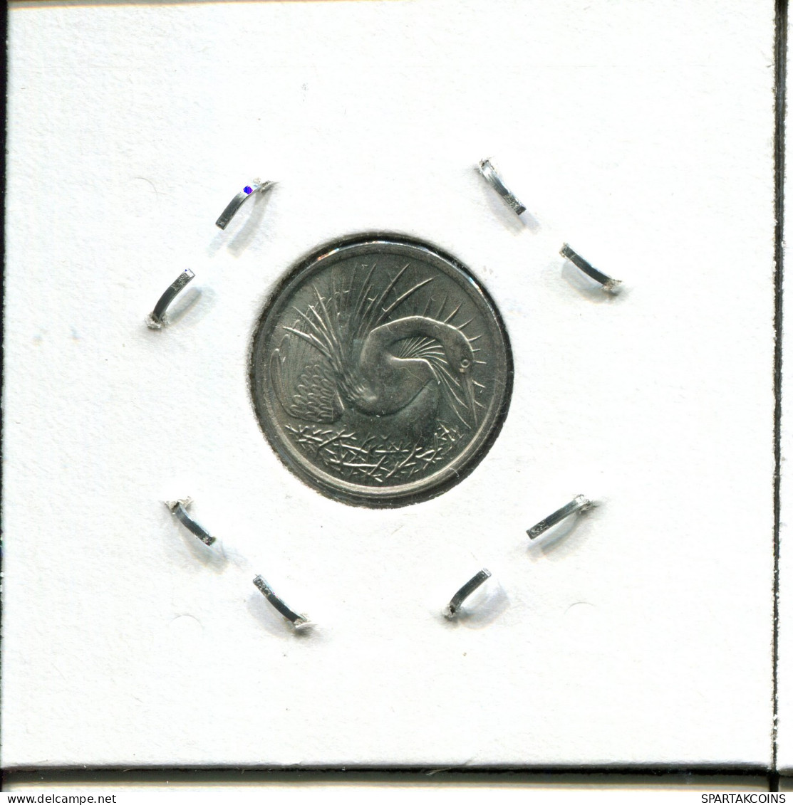 5 CENTS 1981 SINGAPUR SINGAPORE Münze #AX121.D - Singapour