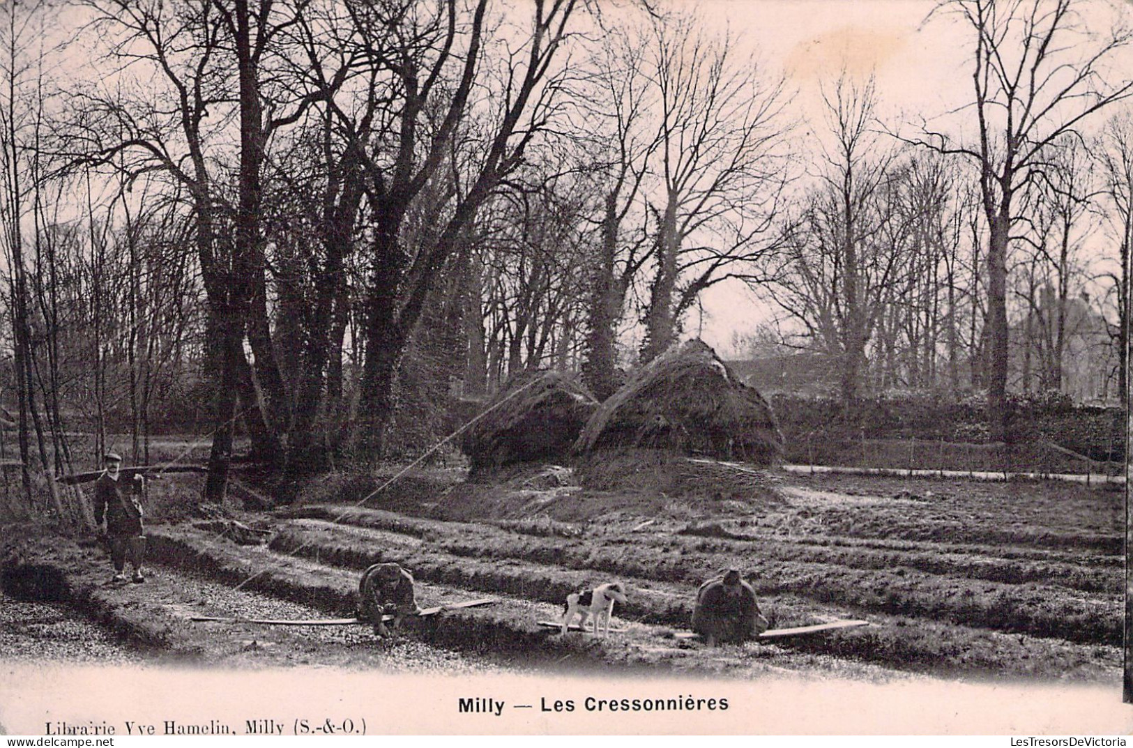 FOLKLORE - MILLY - Les Cressonnières - Carte Postale Ancienne - Costumes