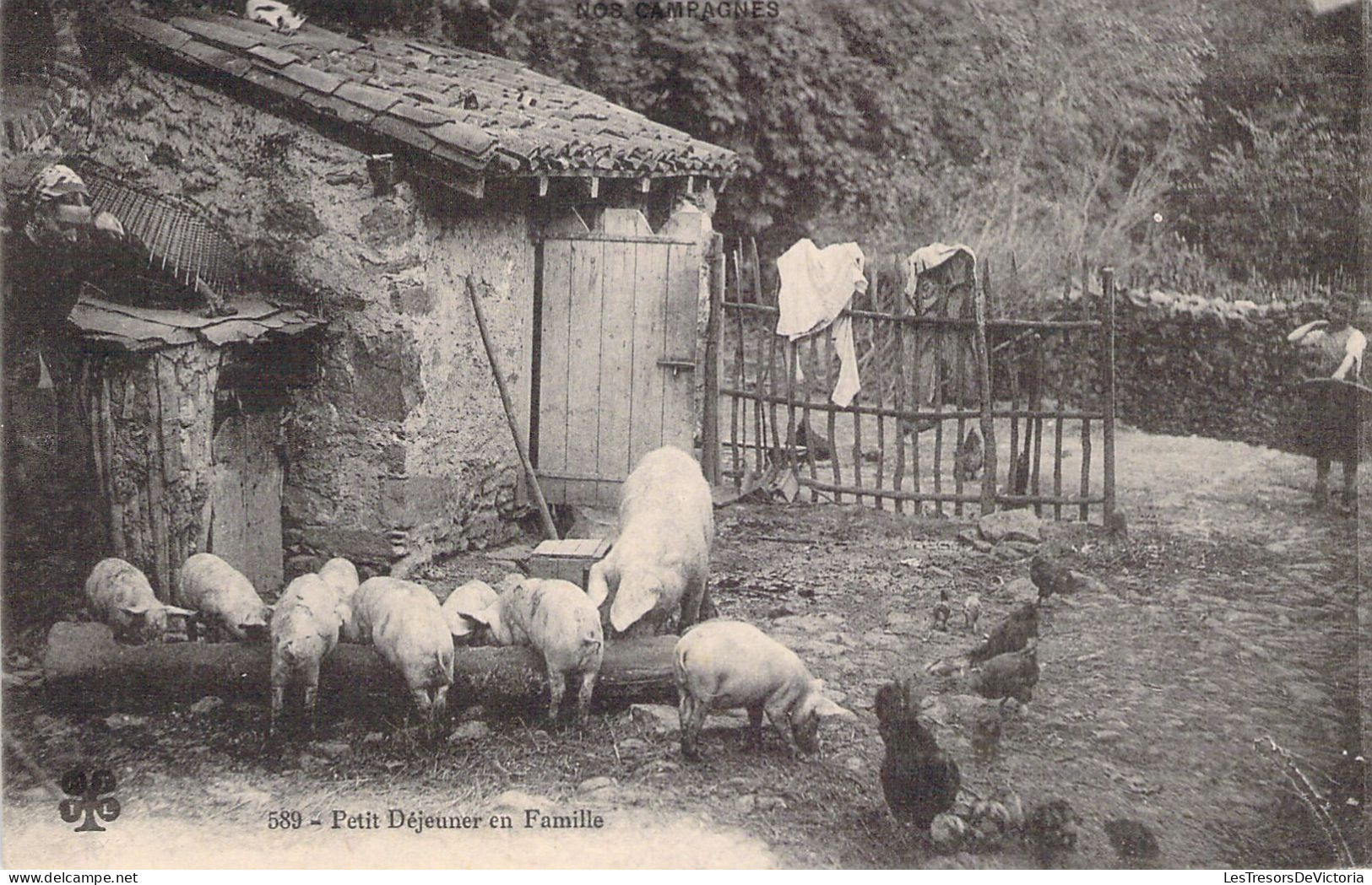 FOLKLORE - Petit Déjeuner En Famille - Cochon - Basse Cour - Carte Postale Ancienne - Muziek