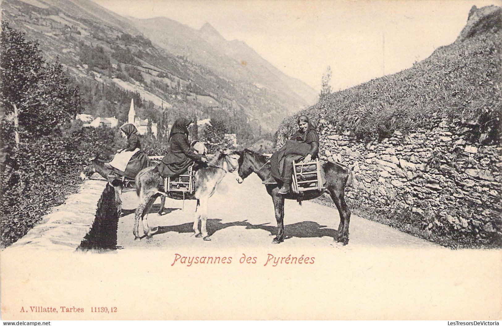 FOLKLORE - Paysannes Des Pyrénées - Anes - Carte Postale Ancienne - Costumes