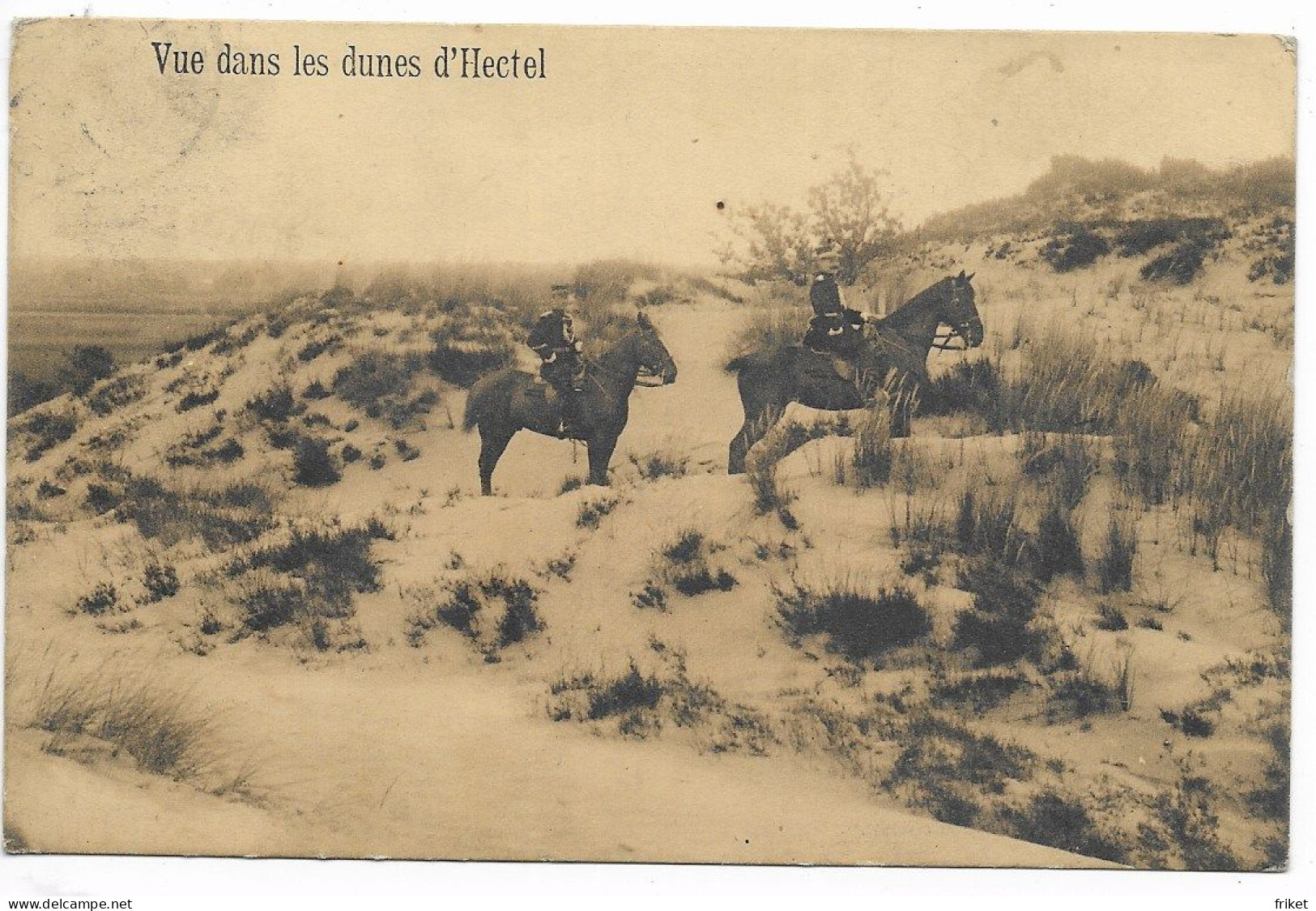 - 3054 - HECTEL (Léopolburg Et Environs )  Vue Dans Les Dunes - Leopoldsburg