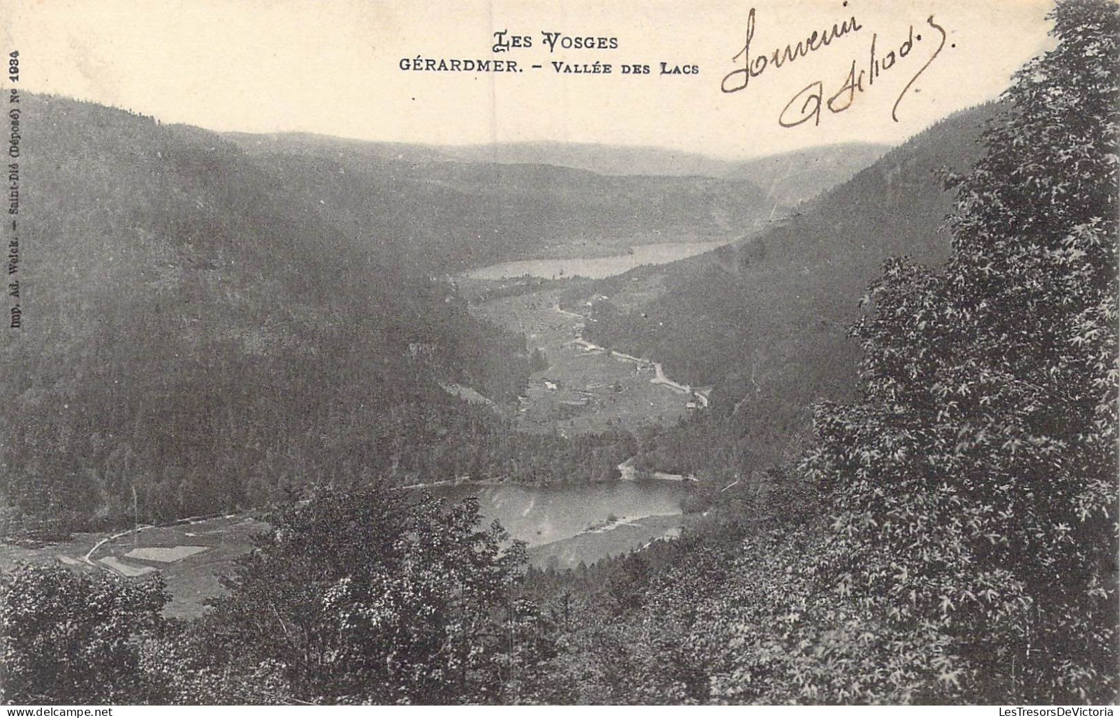 FRANCE - 88 - Gérardmer - Vallée Des Lacs - Les Vosges - Carte Postale Ancienne - Gerardmer