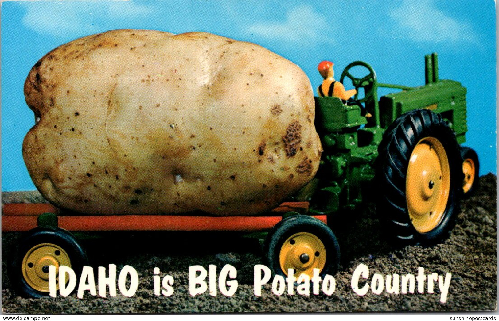Idaho Exageration Idaho Is Big Potato Country - Other & Unclassified