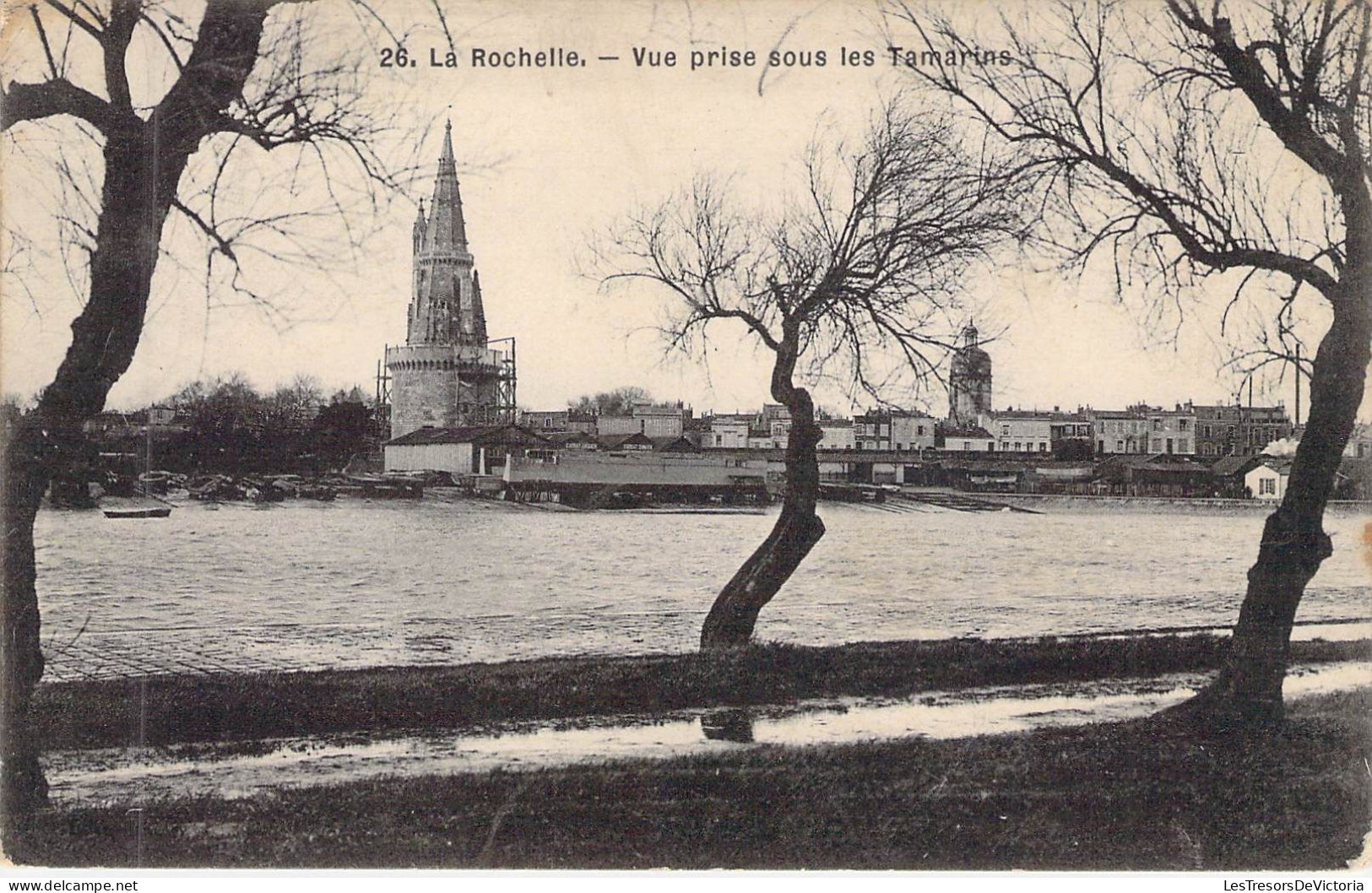 FRANCE - 17 - LA ROCHELLE - Vue Prise Sous Les Tamarins - Carte Postale Ancienne - La Rochelle