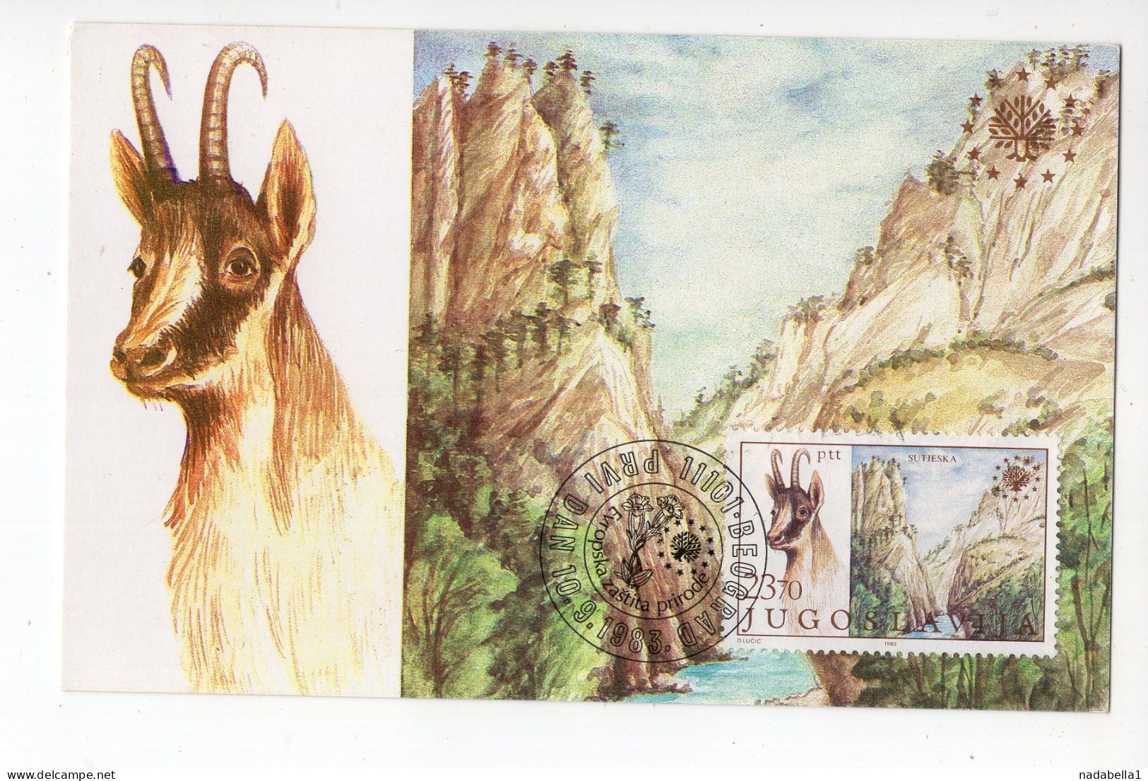 1983. YUGOSLAVIA,BOSNIA,MAXIMUM CARD,NATURE PROTECTION EUROPE,NATIONAL PARK SUTJESKA,SUTJESKA GORGE,CHAMOIS,FAUNA - Cartes-maximum