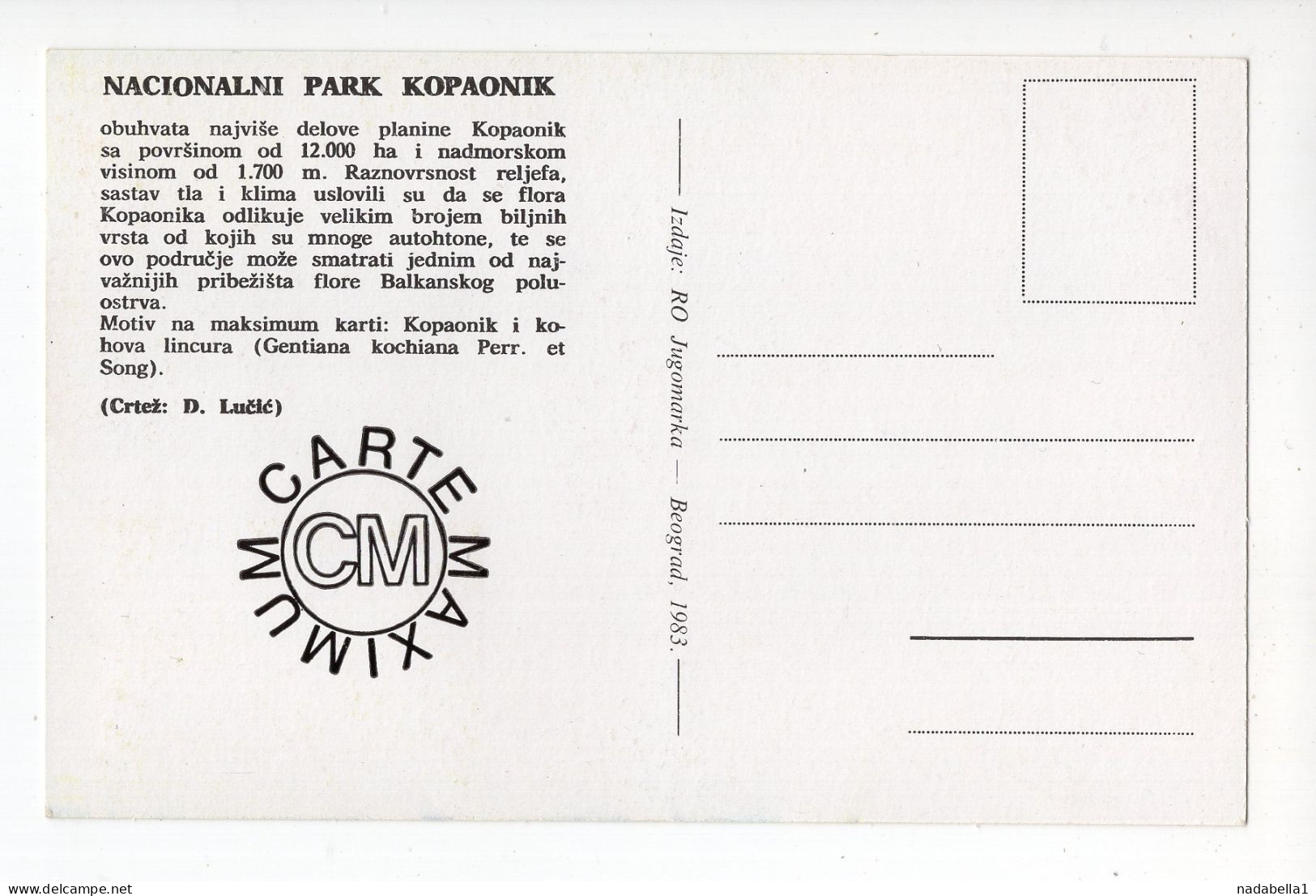 1983. YUGOSLAVIA,SERBIA,MAXIMUM CARD,NATURE PROTECTION EUROPE,NATIONAL PARK KOPAONIK,FLORA,GENTIANA KOCHIANA - Cartes-maximum