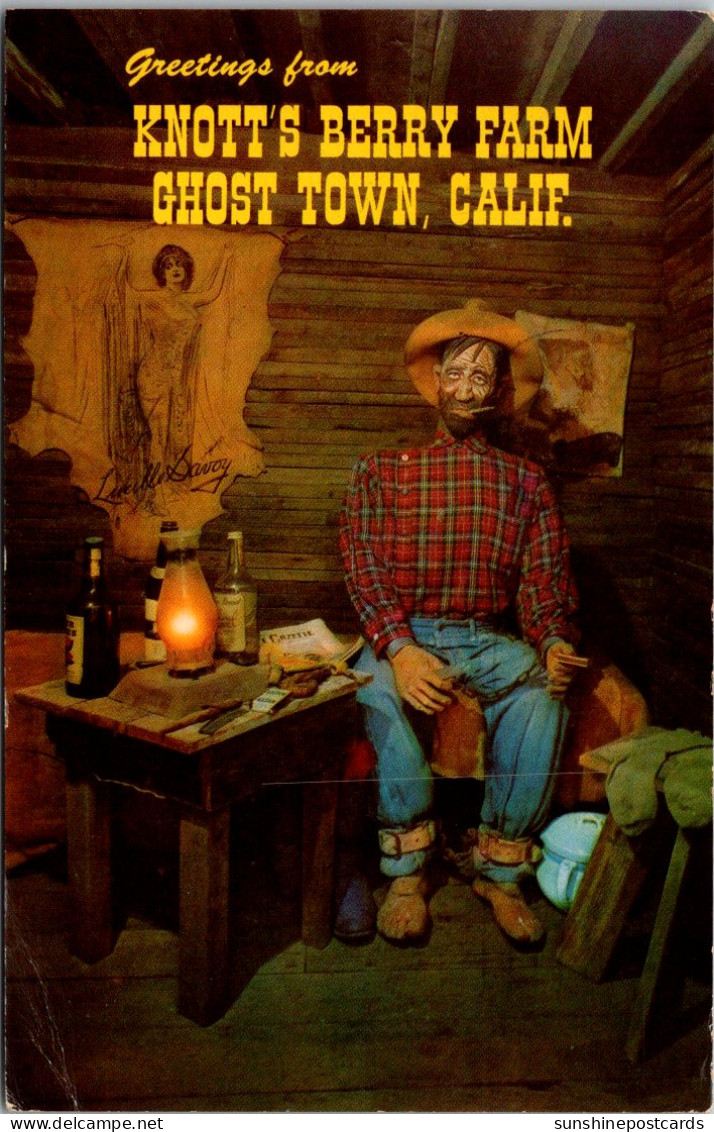 California Buena Park Greetings From Knott's Berry Farm Ghost Town Sad-Eye Joe 1967 - San Diego