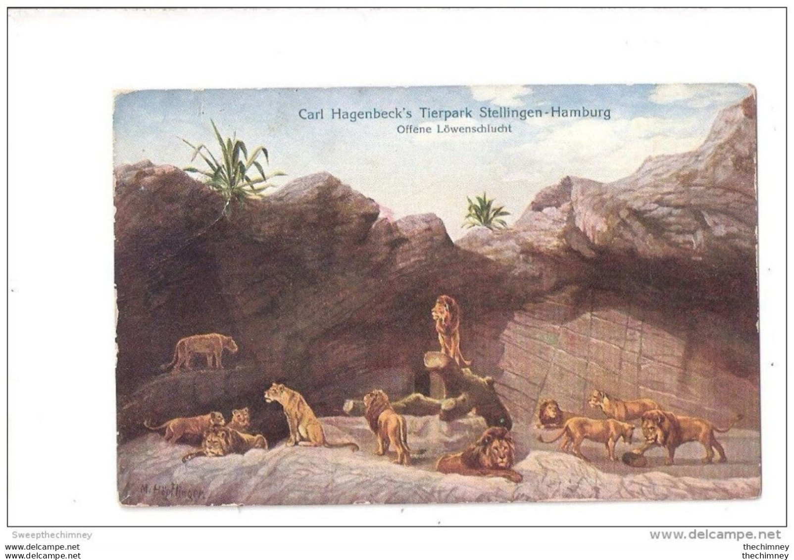 CPA Stellingen-Hamburg, Carl Hagenbeck's Tierpark, Offene Löwenschlucht, Löwen - Leeuwen